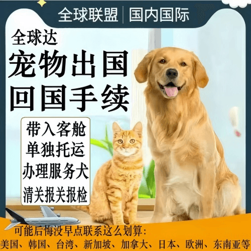 双桥区宠物托运到柬埔寨宠物入境规定和要求
