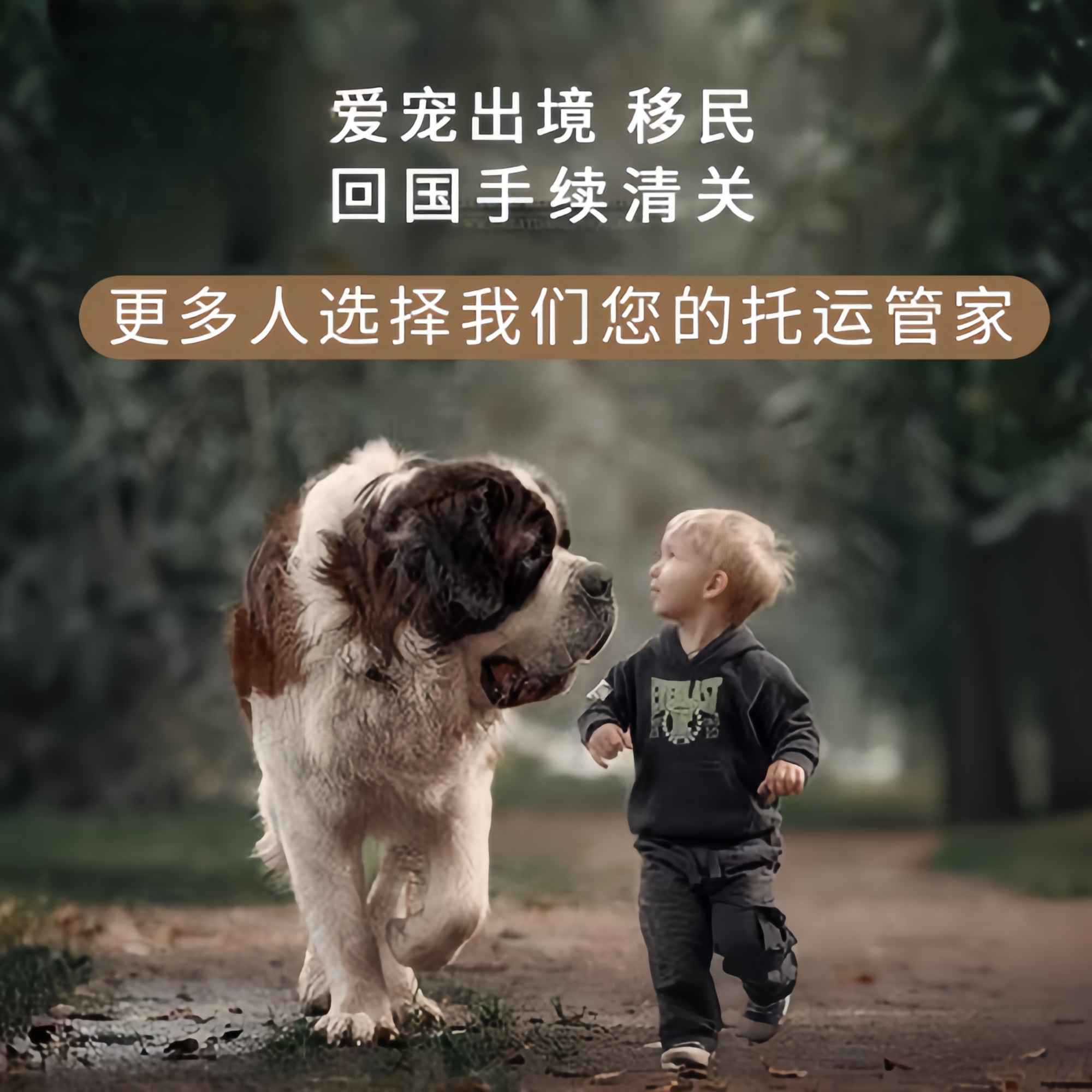 满财双桥区宠物全球达宠物托运在遵守入境目的地政策的条件