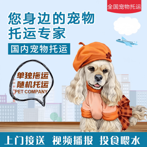 满财双桥区宠物全球达宠物托运作为专业的宠物运输代理机构